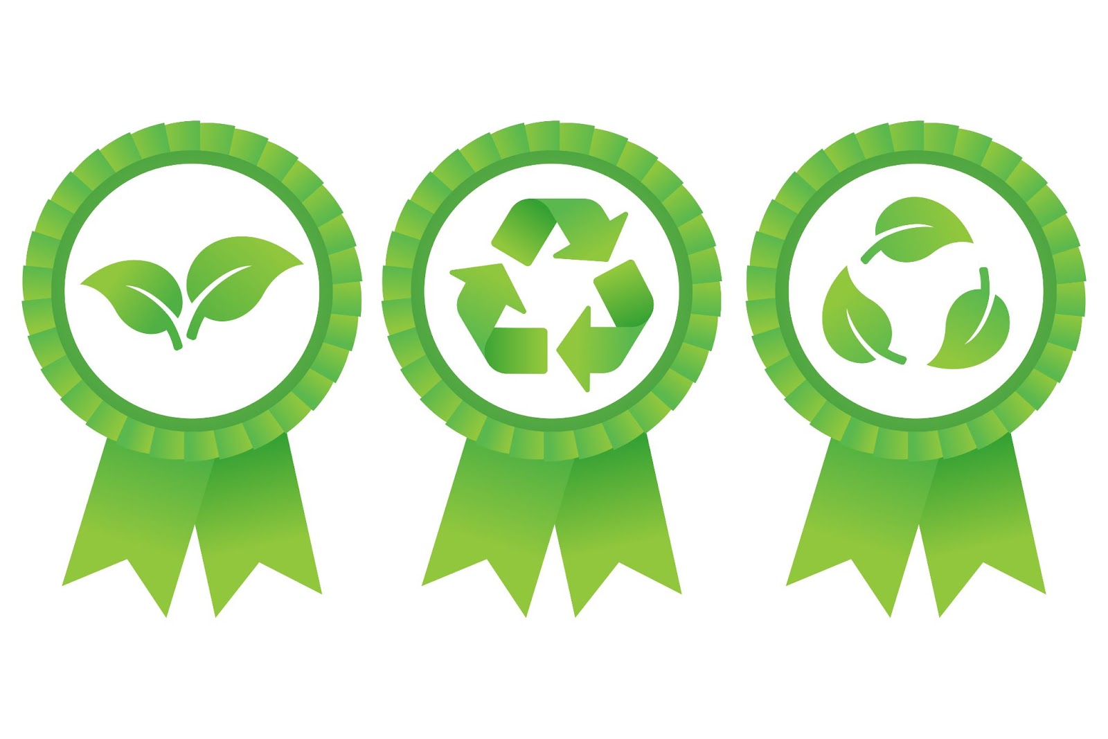 Illustration of eco friendly certification