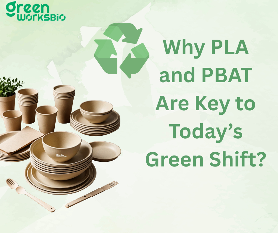 Eco-friendly tableware and cups highlighting PLA and PBAT’s role in sustainability.     