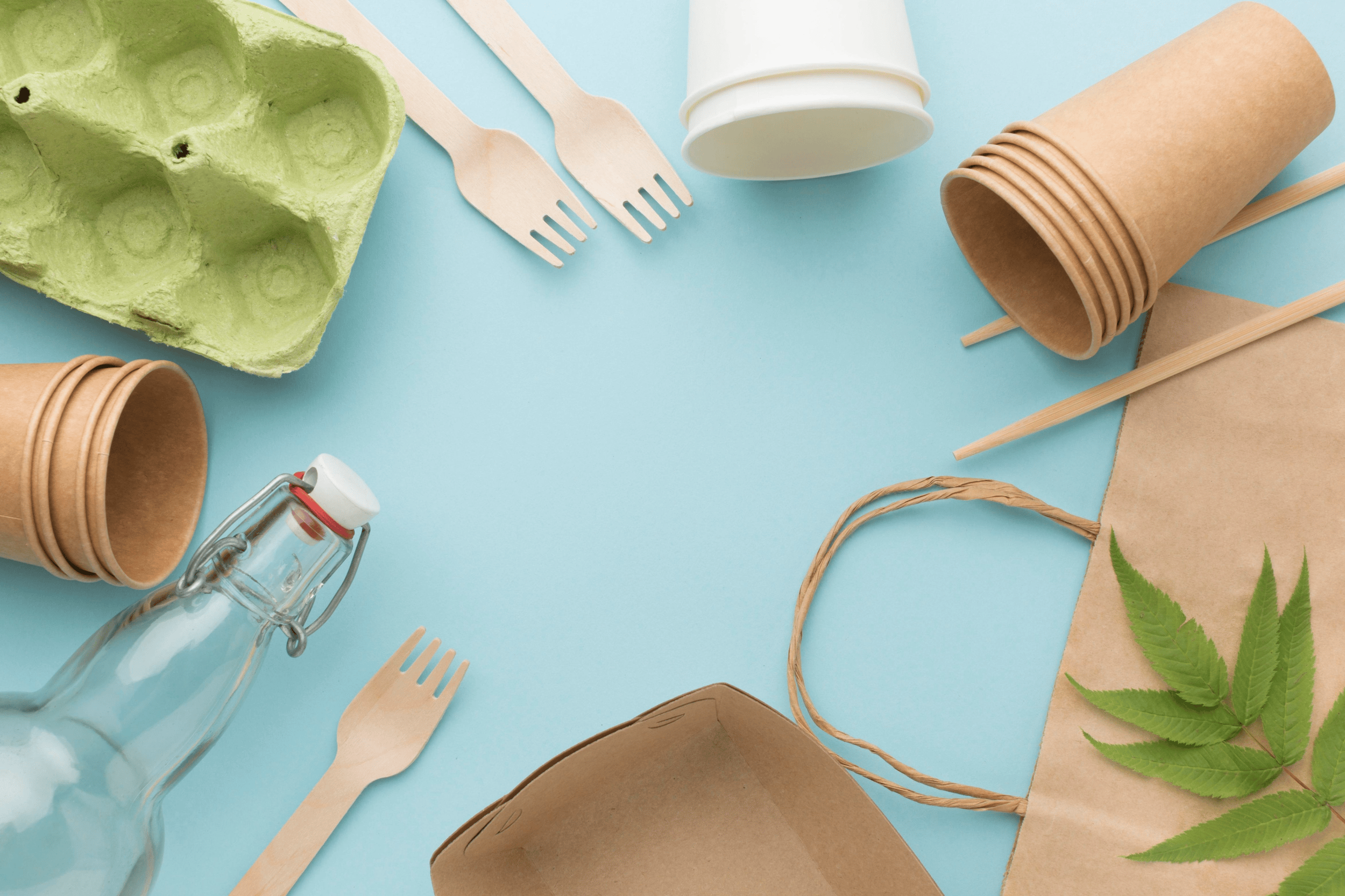 Eco-friendly packaging products on display