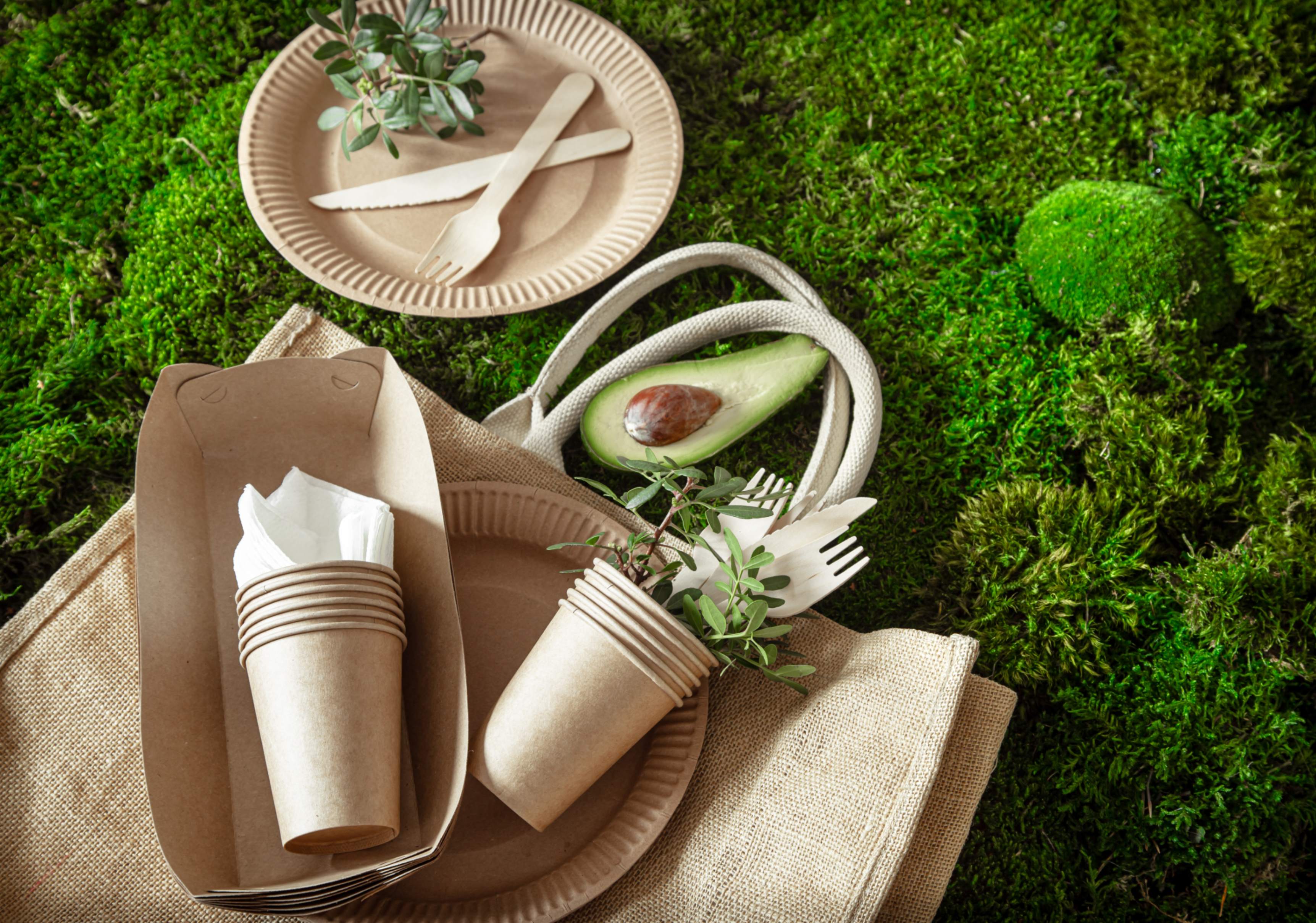 eco-friendly recyclable tableware