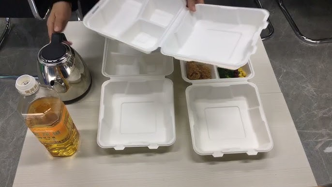 Bagasse (Sugarcane Pulp) Containers