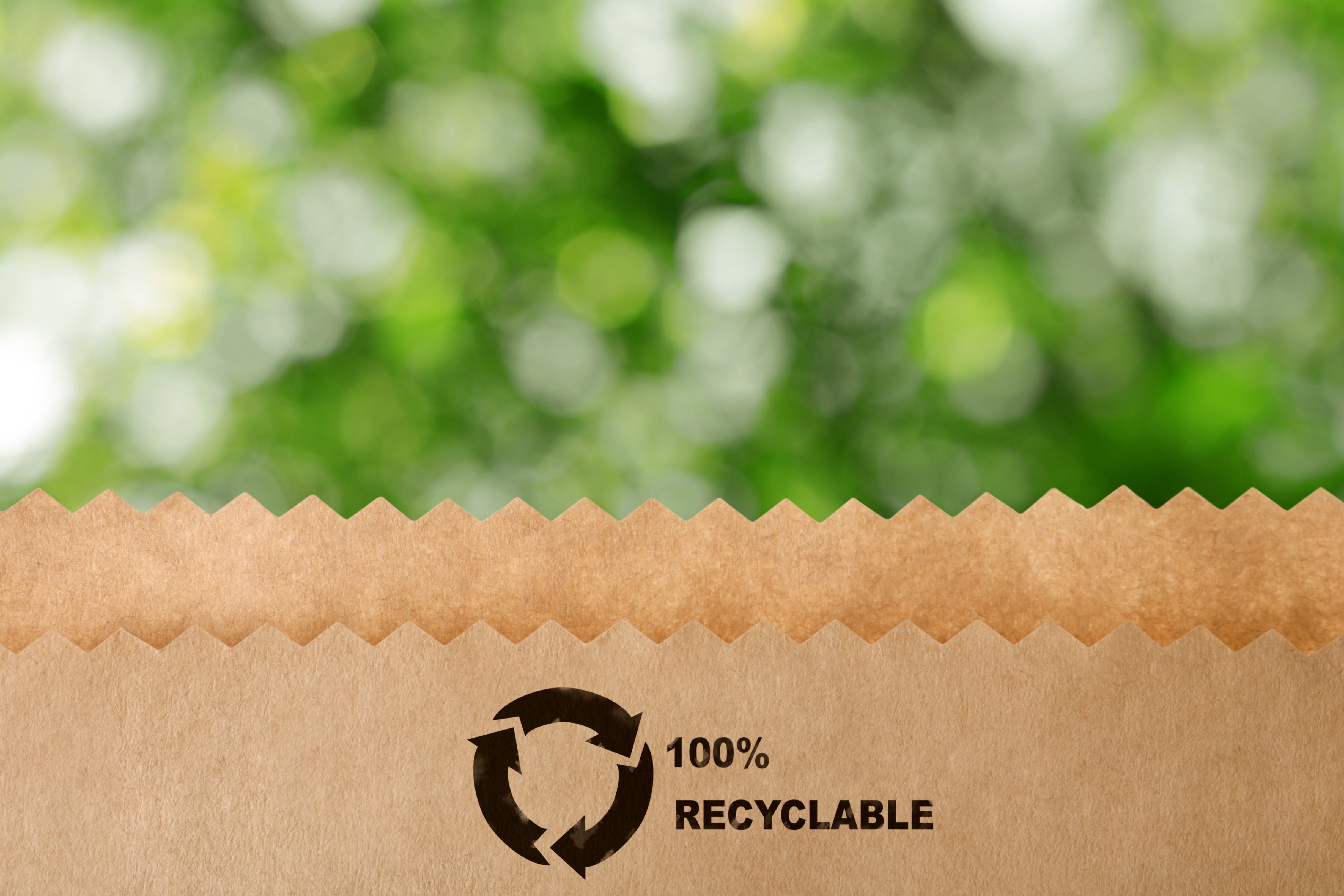 Brown recyclable paper packaging