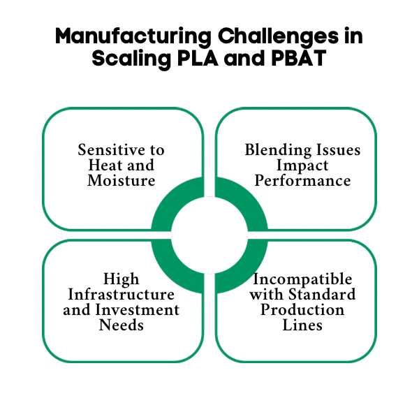 An Infographic on Manufacturing Challenges in Scaling PLA and PBAT.