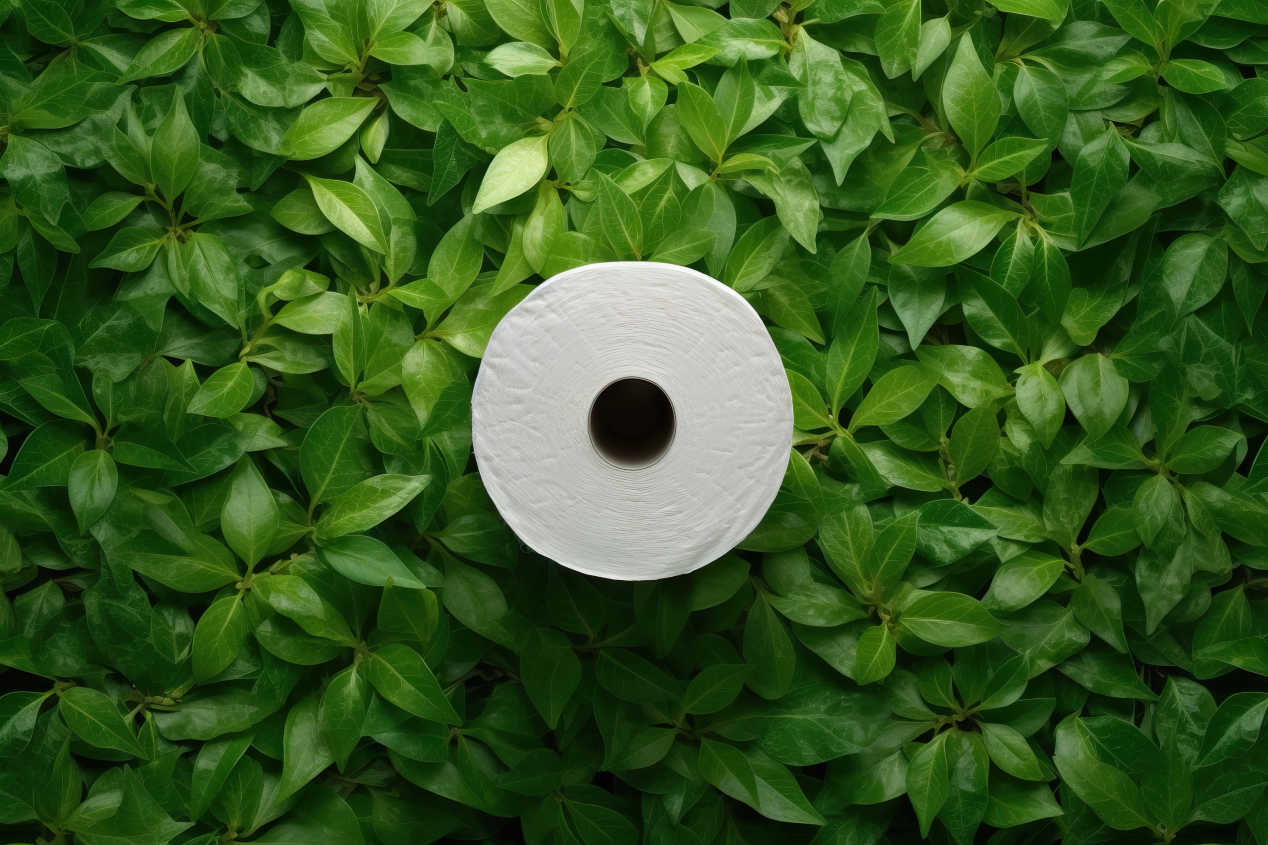 FSC-Certified Tissue Paper